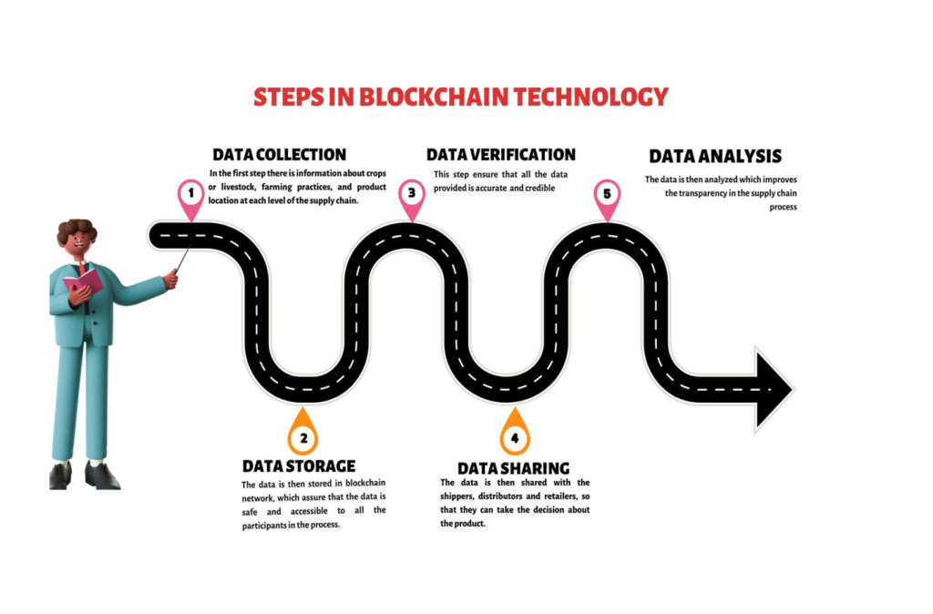  Different steps in agriculture blockchain Technology(John Bowles., 2019)