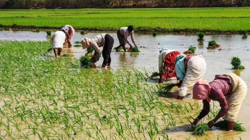 Pradhan Mantri Fasal Bima Yojana