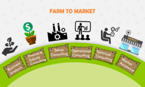 Agribusiness in India 