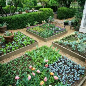 raised bed farming